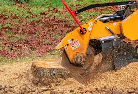 Best Aeration Services  in Miamisburg, OH